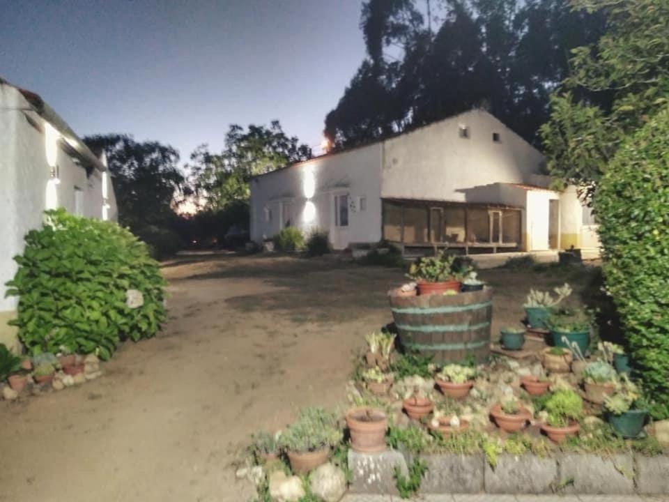Вілла Quinta Da Mesa Macinhata do Vouga Екстер'єр фото